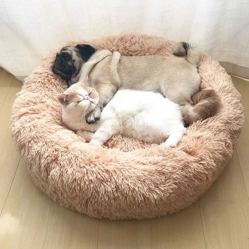 PawLuxe CalmNest™