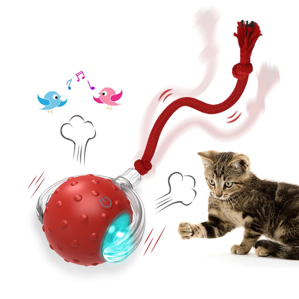 PawLuxe ChirpRoll™ – Interactive Motion Cat Toy