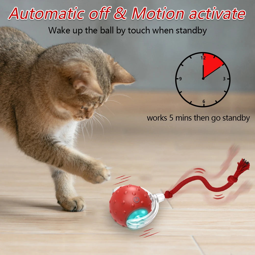 PawLuxe ChirpRoll™ – Interactive Motion Cat Toy