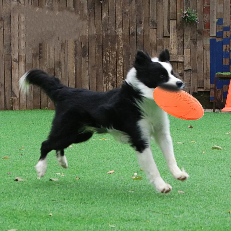 PawLuxe SkyDisc™