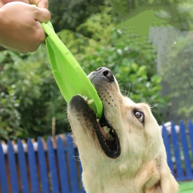 PawLuxe SkyDisc™