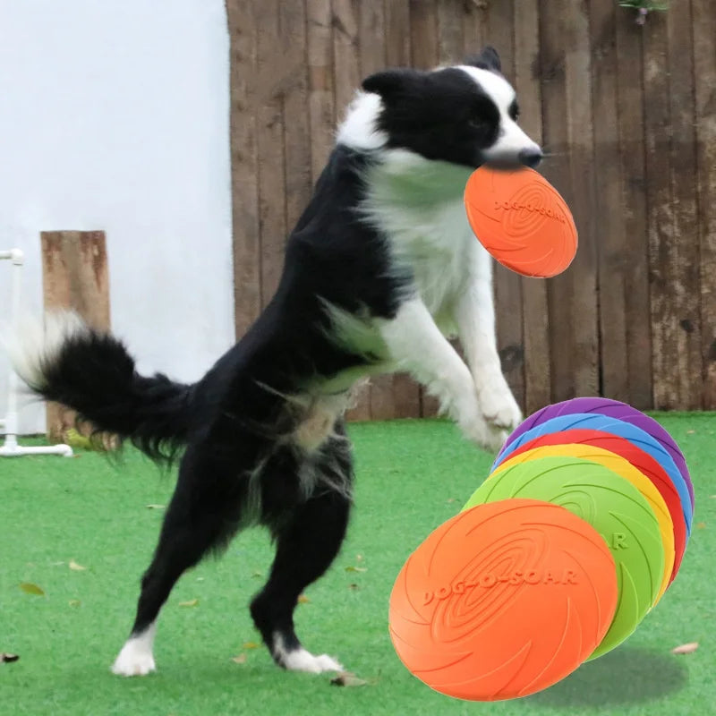 PawLuxe SkyDisc™