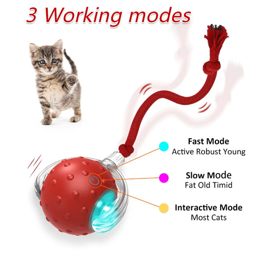PawLuxe ChirpRoll™ – Interactive Motion Cat Toy
