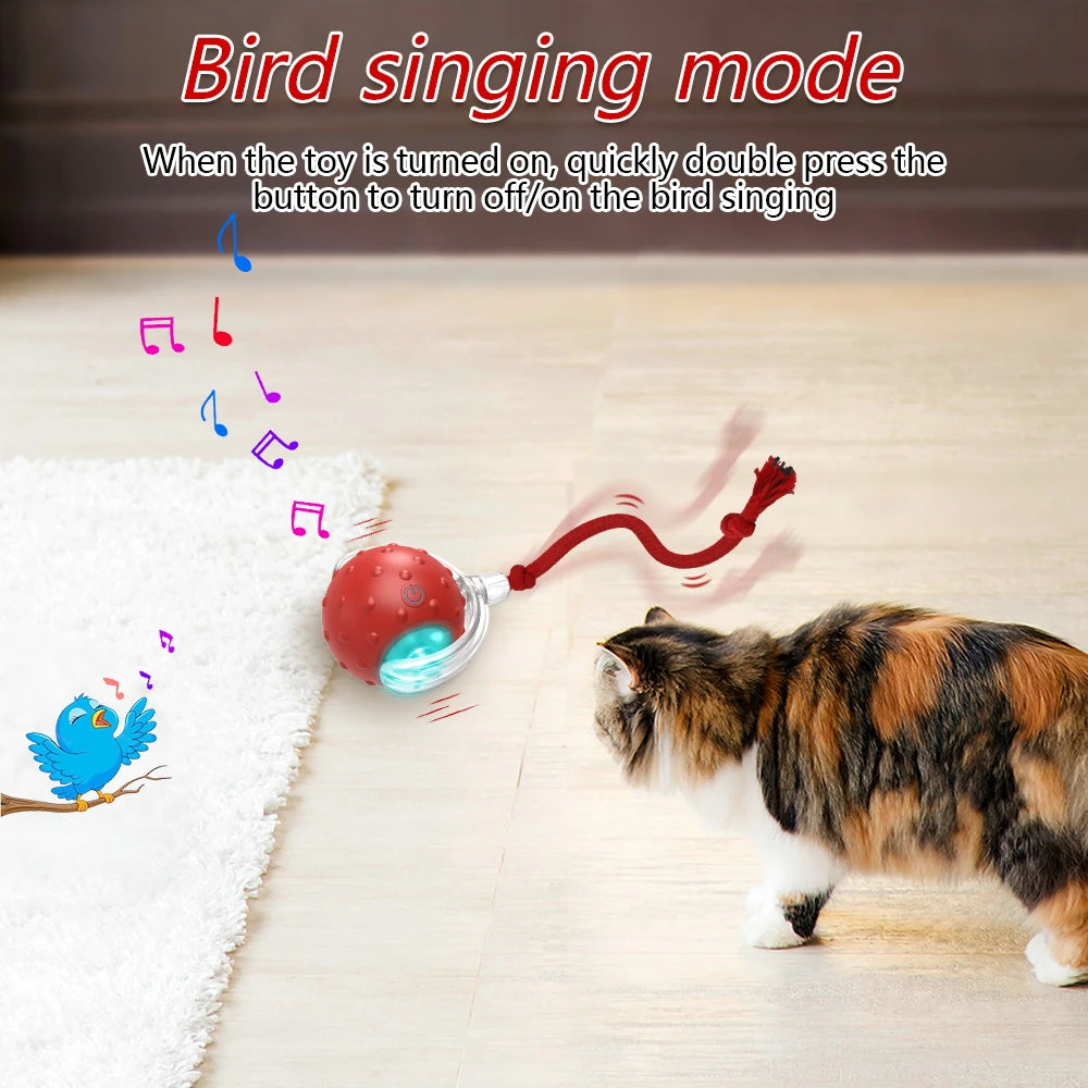 PawLuxe ChirpRoll™ – Interactive Motion Cat Toy